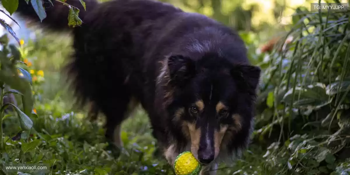 定制你的主队战袍，让支持更有态度！👕❤️